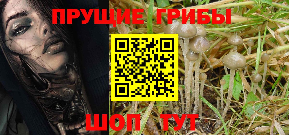 Галлюциногенные грибы MAGIC MUSHROOMS Камышин